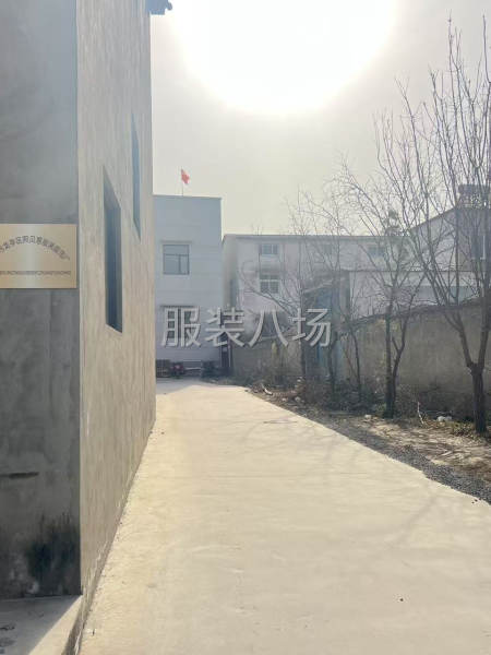 负责制作样衣生产-第2张图片