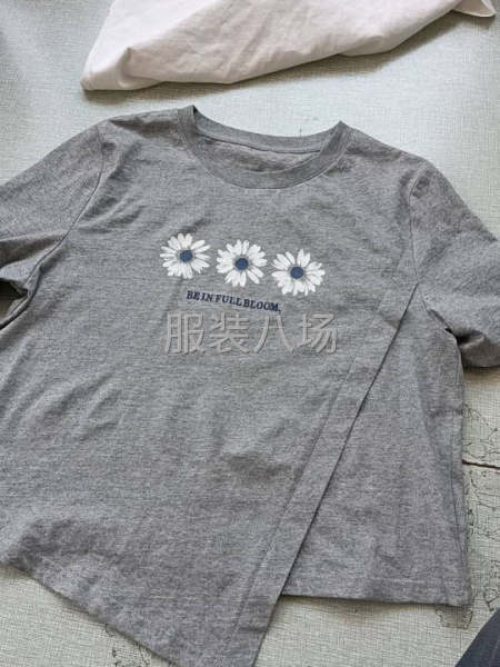 10-20人加工厂承接订单-第1张图片