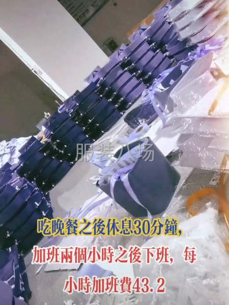 求职全职,经验20年（专业衬衣大烫）-第5张图片