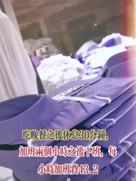 求职全职,经验20年（专业衬衣大烫）-第1张图片