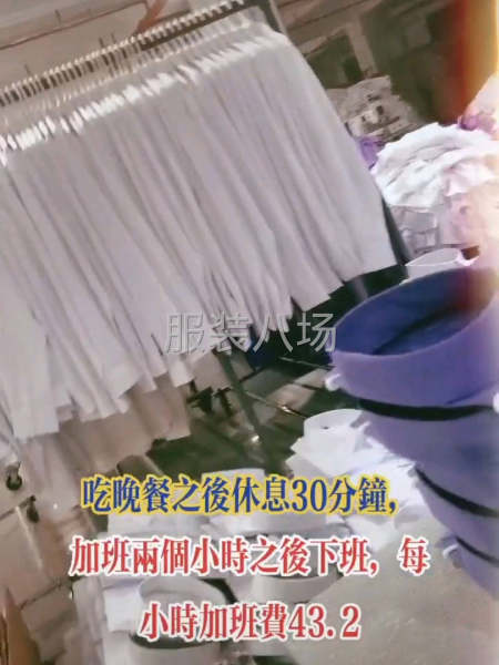 求职全职,经验20年（专业衬衣大烫）-第4张图片