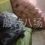 玉林 - 玉州 - 承接衬衫加工