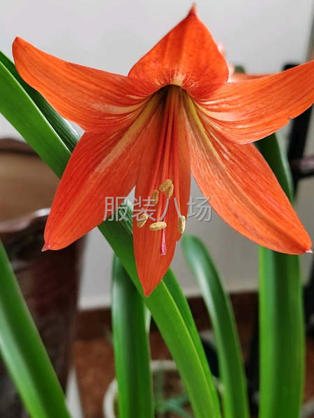 譽邦服裝人團隊，我有專業服裝工人團隊-第1張圖片
