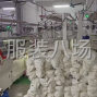 東莞 - 大朗鎮 - 巷尾社區 - 東莞大朗毛織生產廠家。