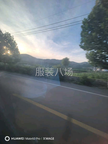 求购缝纫机-第1张图片