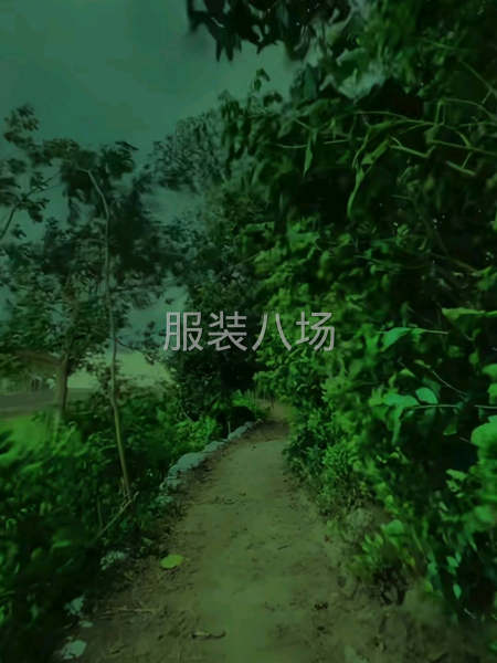 求职全职小烫,经验11年-第1张图片