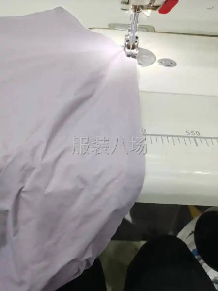 下半年，專業跑膽布-第2張圖片