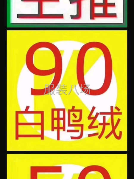 大量出售白鸭绒-第3张图片