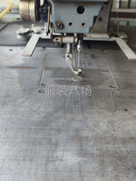 花样机，3020幅面，大豪系统，自动换模-第1张图片