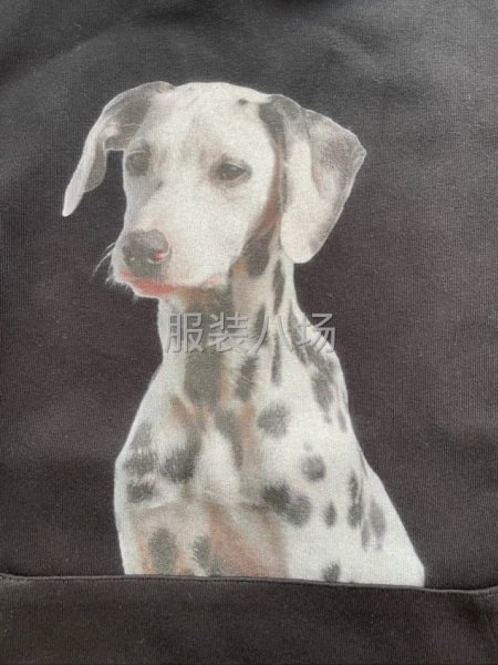 工业机白墨直喷印花-第9张图片