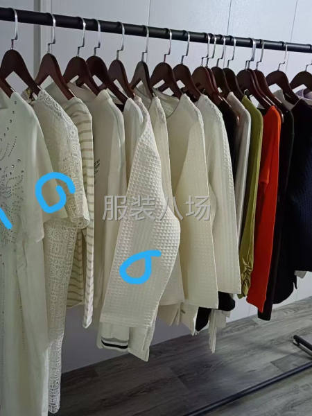 2.5一件 几百件女装-第1张图片