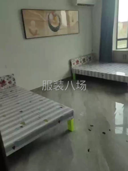 工資準時、歡迎各路精英加入-第2張圖片