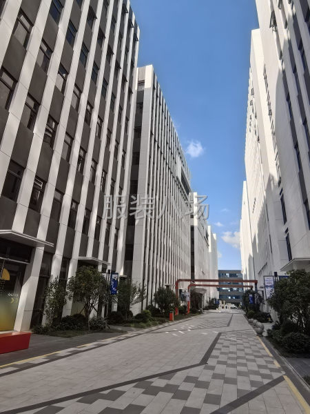 杭海地铁口 服装园区 全新标准厂房 租售-第3张图片