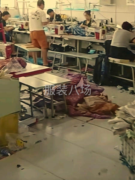 手脚麻利的-第2张图片