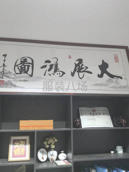 專業，上衣，夾克，棉衣，羽絨服-第1張圖片