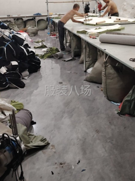专业承接各种服饰  宠物衣服  裁剪下料加激光下料切割-第2张图片