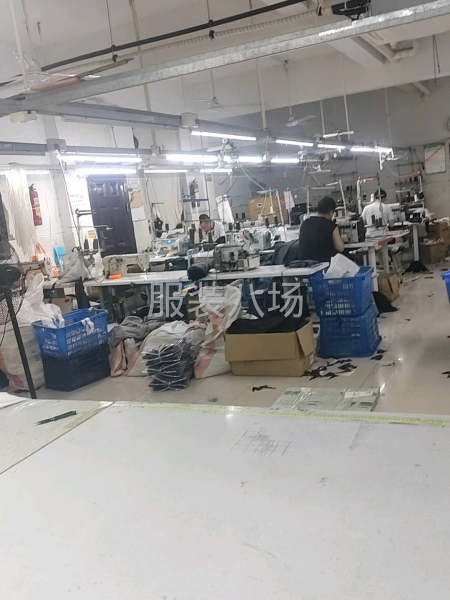 裤子车位，大烫-第1张图片