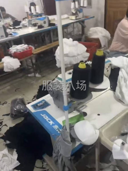 女裝全品類-第2張圖片