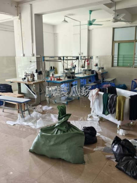 低价转让，手慢则无-第1张图片