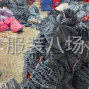 汕尾 - 陆丰 - 承接裁片来加工，多个小型加工厂
