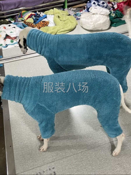 招专业打边一名薄毛毛款单大，需要中等质量，非诚勿扰-第1张图片