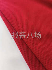 undefined - 全涤鸟眼布面料，克重140/145克，宽幅165/185cm - 图9