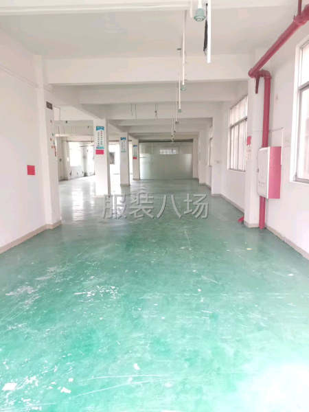 大石厂房450方，出租！-第4张图片