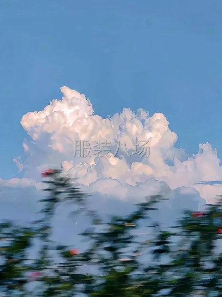 求职临时,经验13年-第1张图片