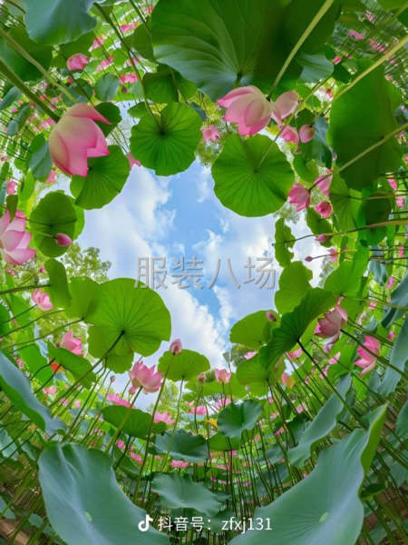 夫妻对，上门裁剪一组-第1张图片