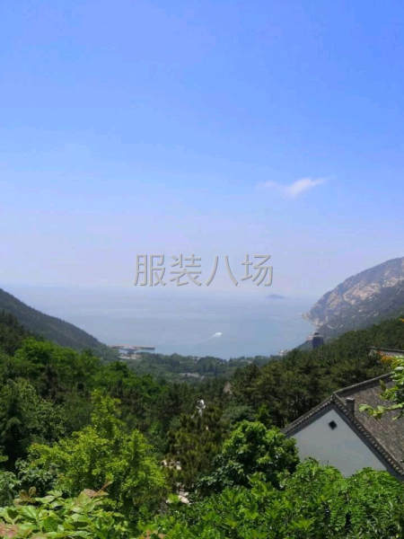 求职全职大烫,缝纫，双针，八一，经验6年-第1张图片
