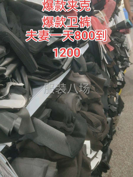 招工！爆款夹克！爆款卫裤！-第2张图片