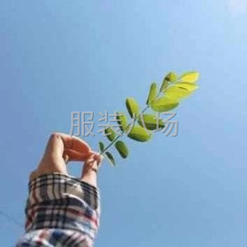 求職全職包月大燙,經驗9年-第1張圖片