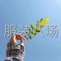 蘇州 - 常熟市 - 常熟服裝城 - 求職全職包月大燙,經驗9年