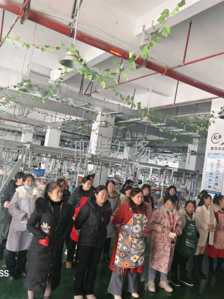 专业接运动系列的服装加工-第1张图片