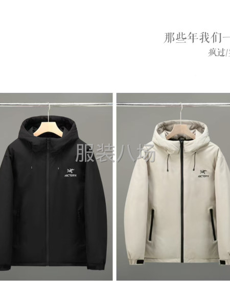 59091R~始祖鸟羽绒服 白鹅绒  工艺  刺绣 M-第3张图片