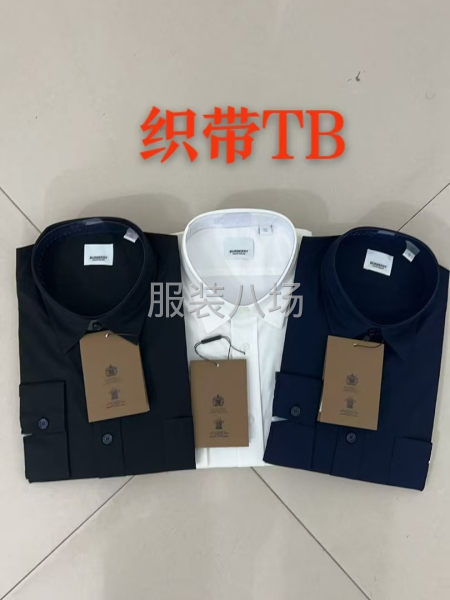 经典tb 战马刺绣长短袖净色衬衫四季常青永不过时款，弹-第1张图片