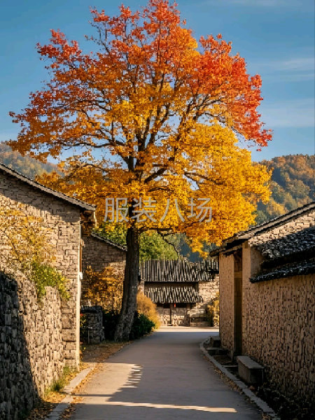承接白墨数码印花工艺，印花透气无手感颜色鲜艳-第1张图片