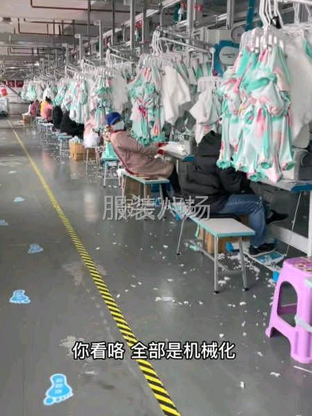 临时工团队寻找活-第2张图片