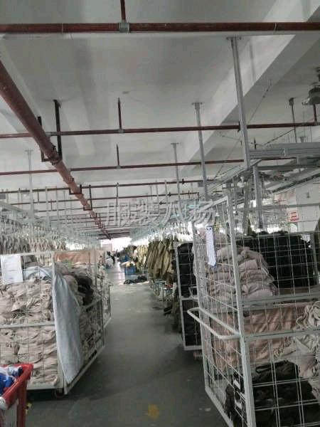 临时工团队寻找活-第1张图片