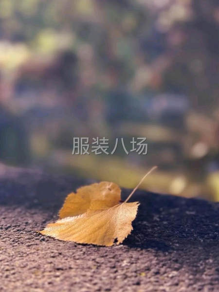 深圳南油做流水線-第1張圖片