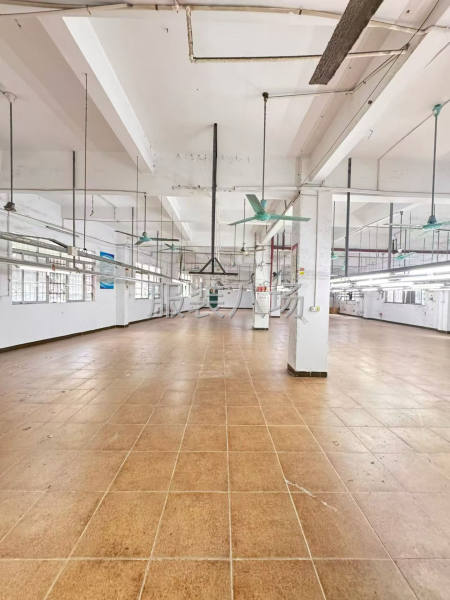 南村牌坊原房東一樓700方僅租20塊-第3張圖片