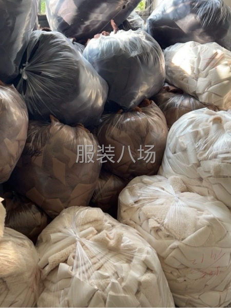 招裘毛10名-第1张图片