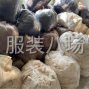 嘉興 - 桐鄉市 - 崇福 - 招裘毛10名