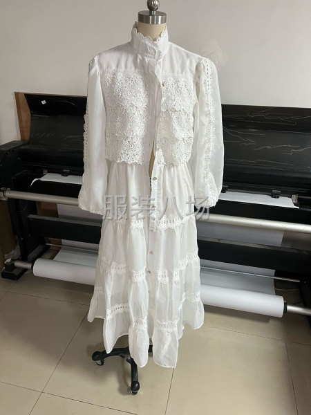 有700件連衣裙-第2張圖片