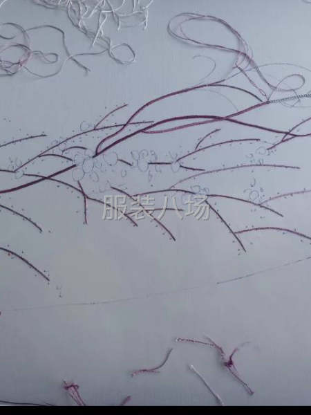 裁剪學徒一名，學會就業-第1張圖片