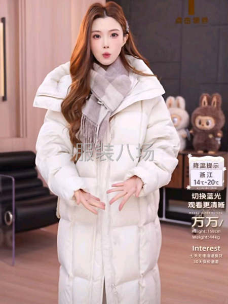 羽絨服專業(yè)工廠-第3張圖片
