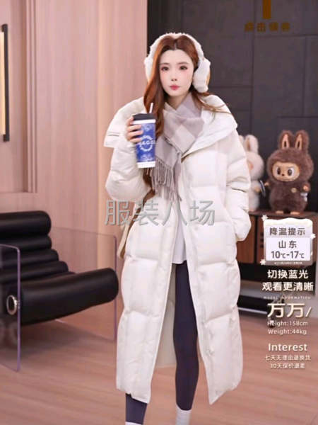 羽絨服專業(yè)工廠-第2張圖片