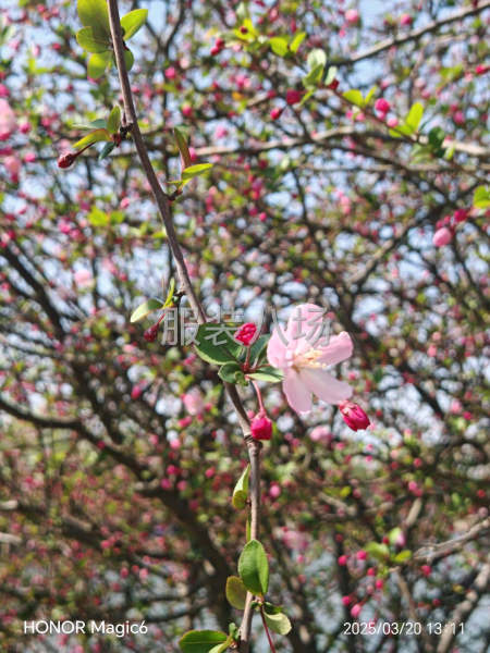 專業針織打底。承接加工-第1張圖片
