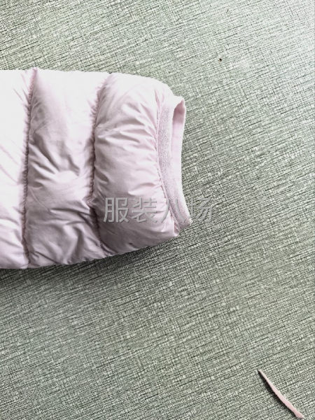 本廠特招羽絨服整件車位。-第6張圖片