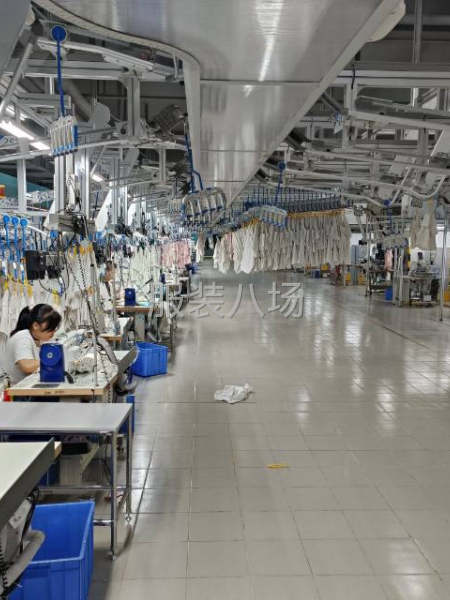 晶苑制衣欢迎加入-第5张图片